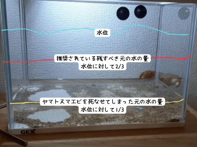 メダカやヤマトヌマエビを育てている水槽の水換えの様子の画像。元の水を少ししか残していなかった。